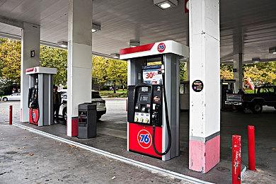 《植物大战僵尸：花园战争2》豪华版登陆Steam平台 售价158元