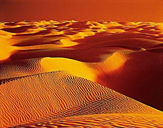 《众神陨落》大型更新“Exalted”4月7日上线